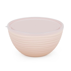 Чаша Оазис 2,5 л. с крышкой /Баш./   М8403